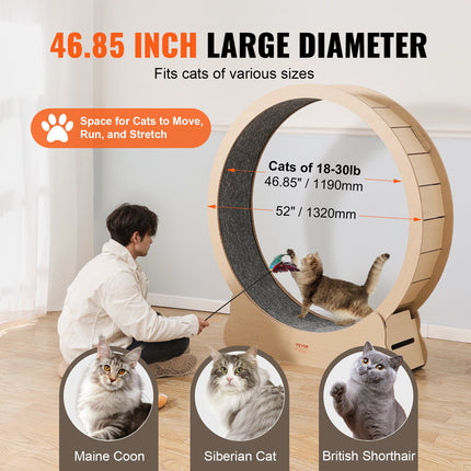 Peekaboo Studio Wooden Cat Exercise Wheel - 52" Treadmill for Indoor C