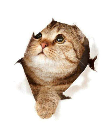 Exquisite 3D Cat Wall Decor Stickers: Elevate Your Home Aesthetics