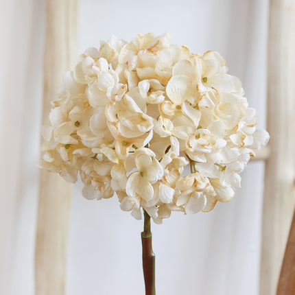 Peekaboo Studio Embroidery & Artificial Flower Decor for Living Room