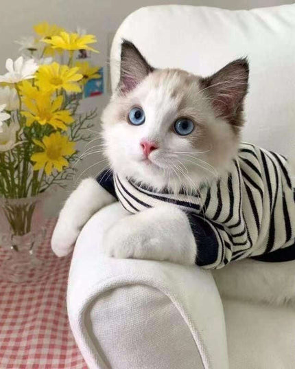 Cozy Cat & Pup Striped Winter Vest