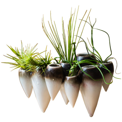 Suspended Ceramic Vase For Hydroponic Decoration Countertop Vase