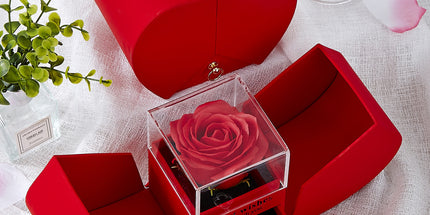 4250fd0a1c3d1e90e95b8486a2c77e6a