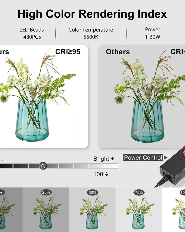 Portable Photography Softbox Studio Kit with Four Vibrant Backdrops