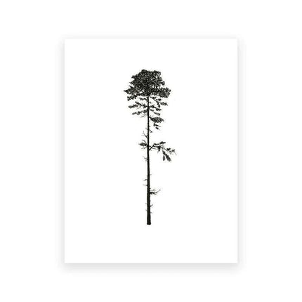 Coastal Serenity: Hemlock & Pine Forest Canvas Art Collection