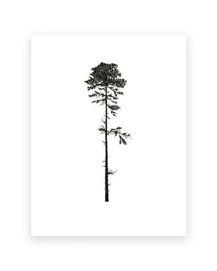 Coastal Serenity: Hemlock & Pine Forest Canvas Art Collection