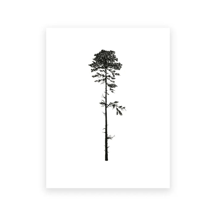 Coastal Trees Minimalist Forest Canvas Art - Hemlock and Pine Wall Decor Collection