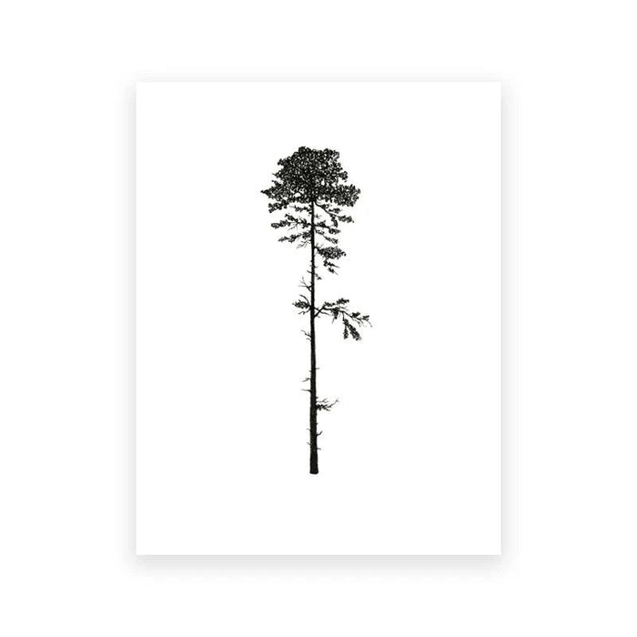 Coastal Trees Minimalist Forest Canvas Prints - Hemlock and Pine Wall Art Collection