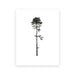 Coastal Serenity: Hemlock & Pine Forest Canvas Art Collection