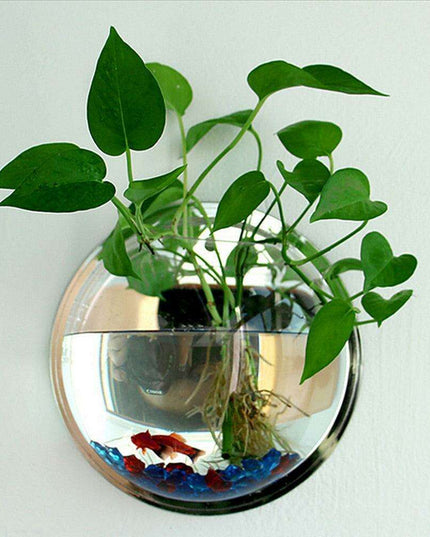 Wall-Mounted 15cm Clear Acrylic Aquarium for Modern Home Aesthetics