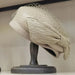 Elegant Women's Black Wool Beret with Veil and Bow – Stylish Fedora Hat for Winter Celebrations