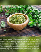 Oregano