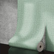 Light green / 50cmX2.8m