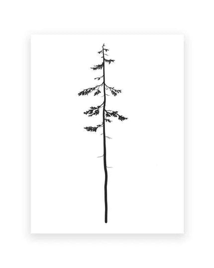 Coastal Serenity: Hemlock & Pine Forest Canvas Art Collection
