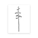 Coastal Serenity: Hemlock & Pine Forest Canvas Art Collection