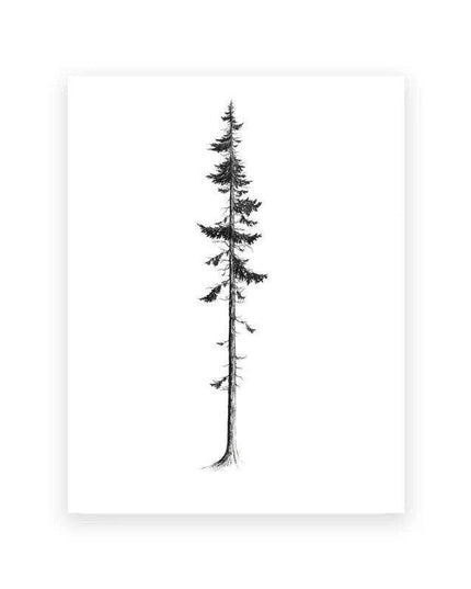 Coastal Serenity: Hemlock & Pine Forest Canvas Art Collection