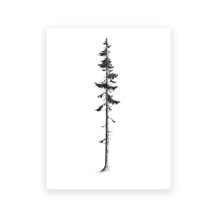 Coastal Trees Minimalist Forest Canvas Art - Hemlock and Pine Wall Decor Collection
