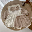 Brown 3 pcs / 6M