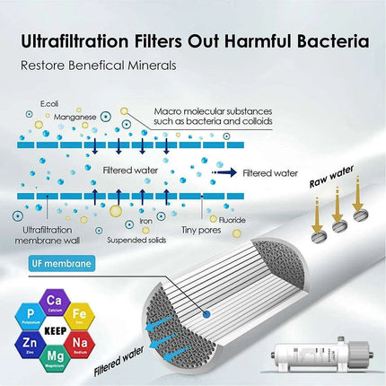 Advanced Ultrafiltration Water Purifier System - High-Speed Bacteria Removal with Lasting Membrane - Très Elite