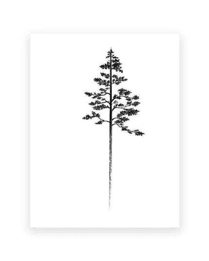 Coastal Serenity: Hemlock & Pine Forest Canvas Art Collection