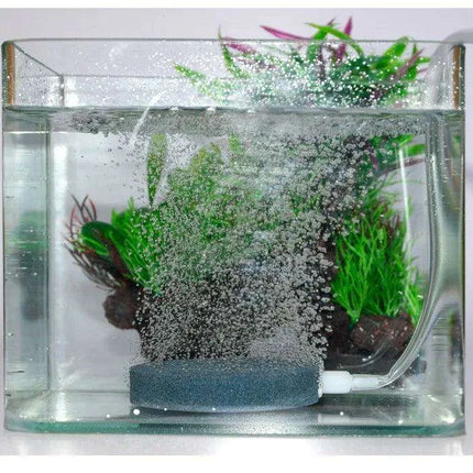 Aquarium Air Pump Oxygen Diffuser Disk - Bubble Stone for Fish Tank & Pond (4/6/8cm) - Très Elite