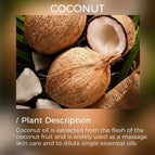 Coconut