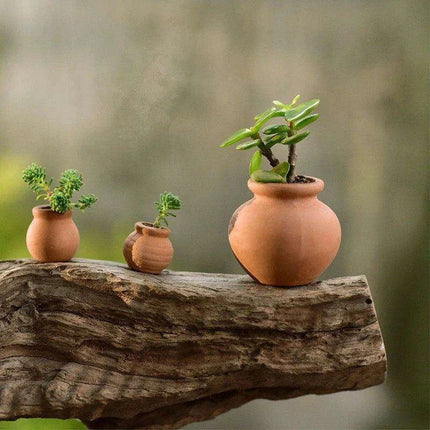 Artistic Terracotta Planter Set - Ideal for Succulents and Creative Projects- Très Elite- Très Elite