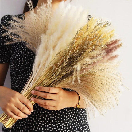 Bohemian Elegance: 70-Piece Natural Pampa Grass Bouquet Set for Home and Event Decor - Très Elite