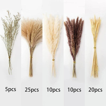 Bohemian Elegance: 70-Piece Natural Pampa Grass Bouquet Set for Home and Event Decor - Très Elite