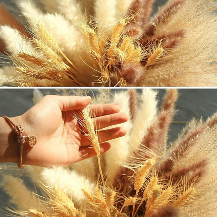 Bohemian Elegance: 70-Piece Natural Pampa Grass Bouquet Set for Home and Event Decor - Très Elite