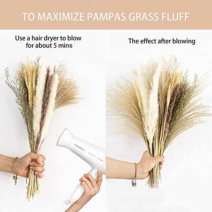Bohemian Elegance: 70-Piece Natural Pampa Grass Bouquet Set for Home and Event Decor - Très Elite