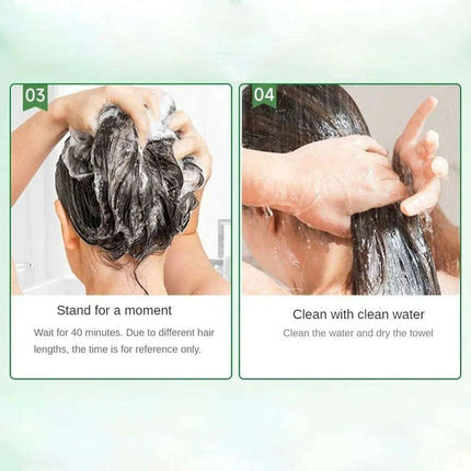 Botanical Bubble Hair Dye Kit - Complete Gray Coverage & Nourishing Plant Essences..