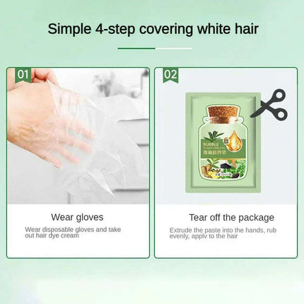Botanical Bubble Hair Dye Kit - Complete Gray Coverage & Nourishing Plant Essences..