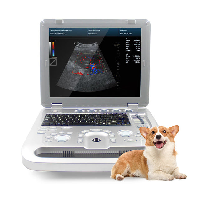 CMS1700A Veterinary Color Doppler Ultrasound Scanner For Horses And Cows