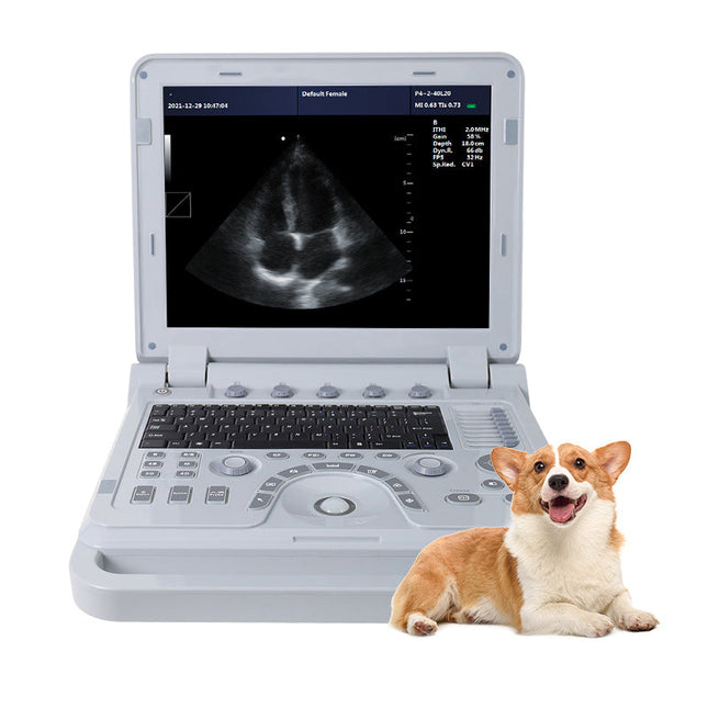 CMS1700B-VET Portable Color Doppler Ultrasound Scanner for Veterinary Use