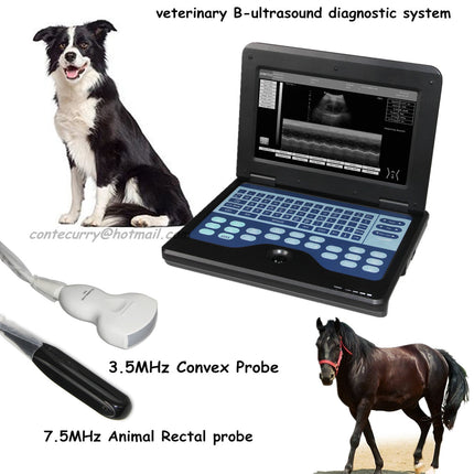 VET Veterinary Ultrasound Notebook With Rectal And Convex Probes CMS600P2VET