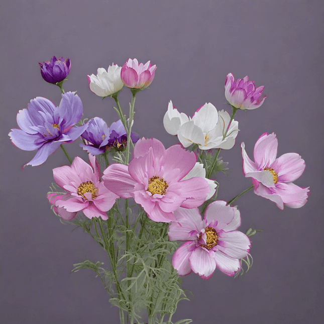 Charming Silk Queen Cosmos Flower Stem: Elegant Gesang Floral Branch