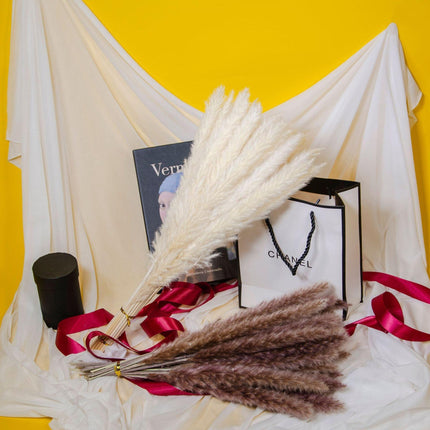 Charming White and Blush Dried Floral Reed Grass Arrangement - 15 Stems, 50-60cm for Home and Event Styling - Très Elite