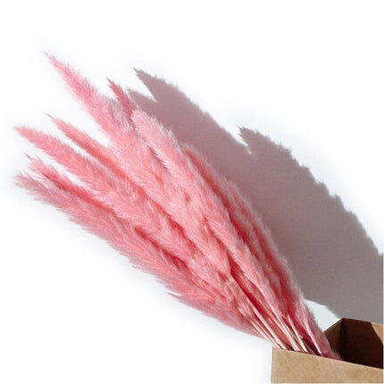 Charming White and Blush Dried Floral Reed Grass Arrangement - 15 Stems, 50-60cm for Home and Event Styling - Très Elite
