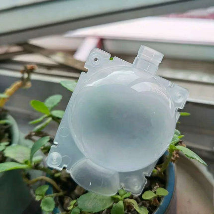 Clear Propagation Sphere for High-Pressure Grafting - Available in 5cm, 8cm, and 12cm Sizes - Très Elite