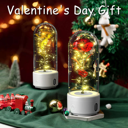Creative 2 In 1 Rose Flowers LED Light And Bluetooth-compatible Speaker Valentine's Day Gift Rose Luminous Night Light Ornament In Glass Cover - Très Elite
