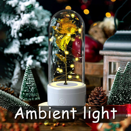 Creative 2 In 1 Rose Flowers LED Light And Bluetooth-compatible Speaker Valentine's Day Gift Rose Luminous Night Light Ornament In Glass Cover - Très Elite