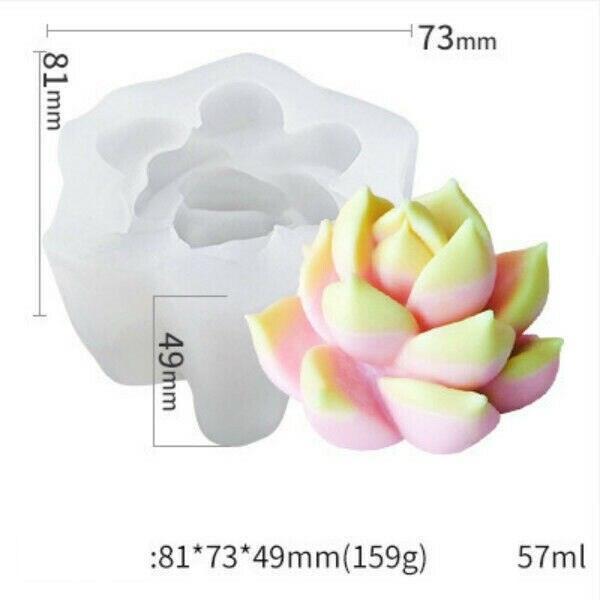 Creative 3D Cactus and Succulent Silicone Mold for Unique Crafting and Baking