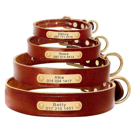 Custom Engraved Leather Dog Collar for Small to Medium Breeds - Personalized with Name and Contact Information - Très Elite
