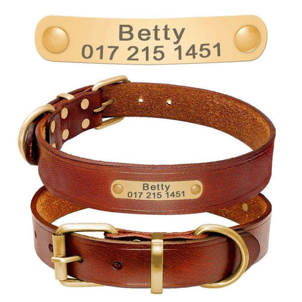 Custom Engraved Leather Dog Collar for Small to Medium Breeds - Personalized with Name and Contact Information - Très Elite