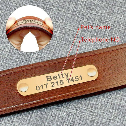Custom Engraved Leather Dog Collar for Small to Medium Breeds - Personalized with Name and Contact Information - Très Elite