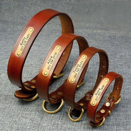 Custom Engraved Leather Dog Collar for Small to Medium Breeds - Personalized with Name and Contact Information - Très Elite