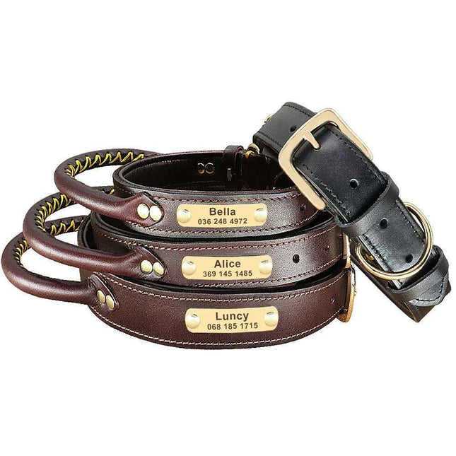 Custom Engraved Premium Leather Dog Collar with Control Handle for Medium to Large Breeds