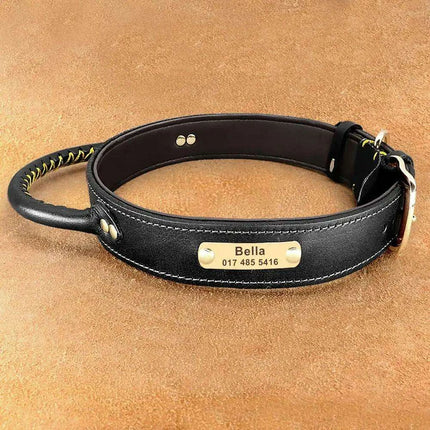 Custom Engraved Premium Leather Dog Collar with Control Handle for Medium to Large Breeds