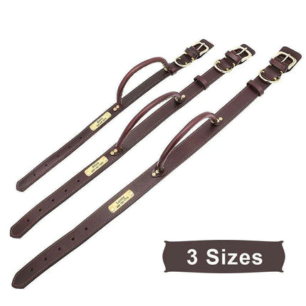 Custom Engraved Premium Leather Dog Collar with Control Handle for Medium to Large Breeds - Très Elite