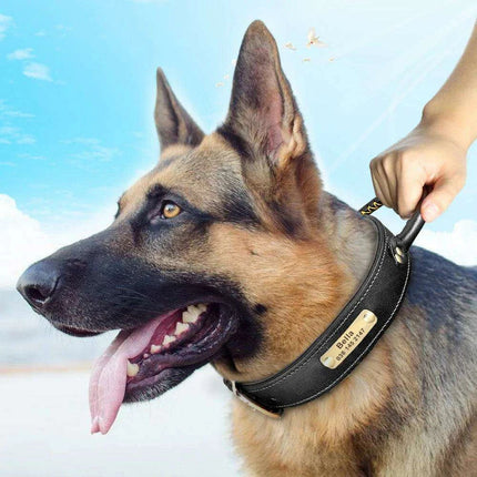 Custom Engraved Premium Leather Dog Collar with Control Handle for Medium to Large Breeds - Très Elite
